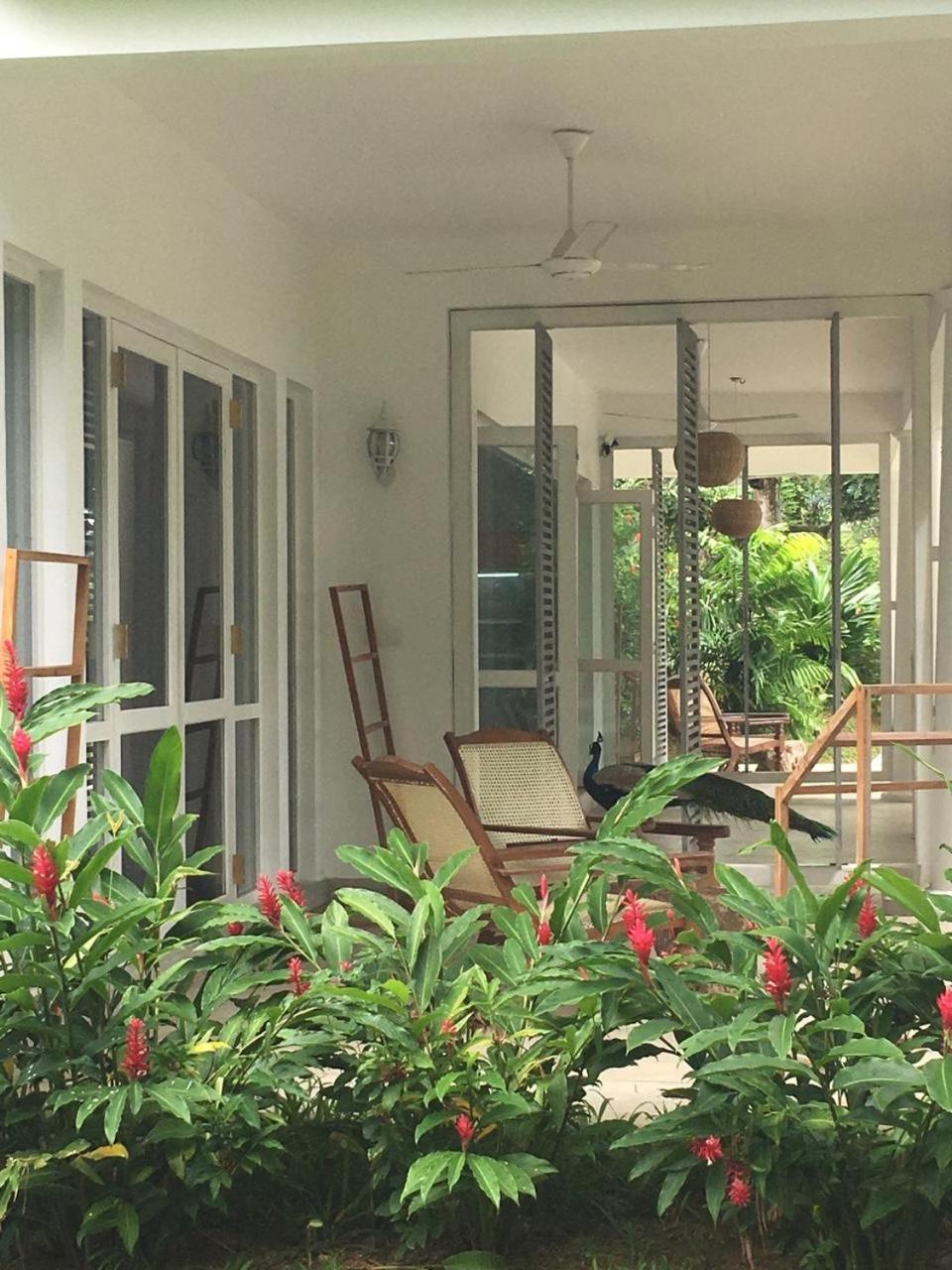 Good Vibes Villas ウナワトゥナ エクステリア 写真